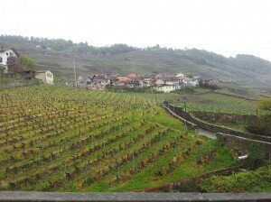 Vue sur le village d'Epesses