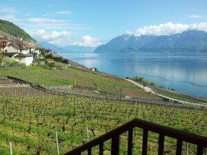 Vue sur le Lac Léman depuis Epesses