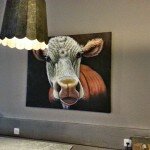 Déco vache chez Mö