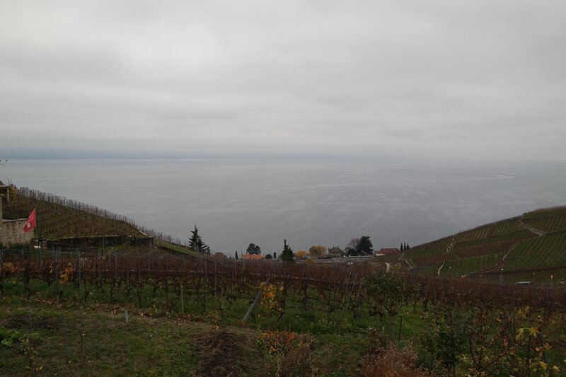 Des huîtres et du Villette-panorama