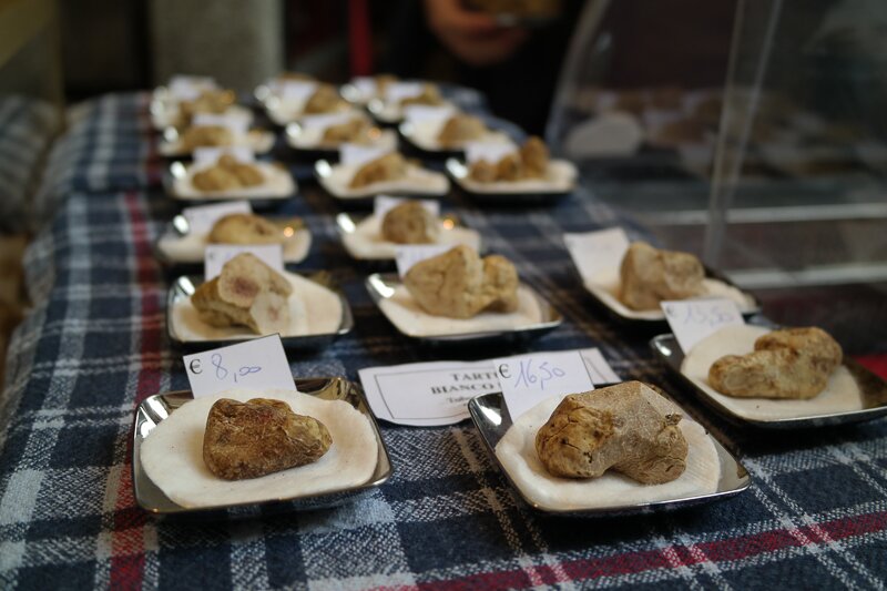 Des truffes blanches au marché d'Alba